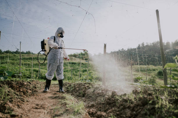 Pest Control Cost in Schulenburg, TX