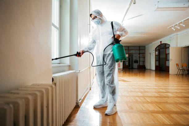 Reliable Schulenburg, TX Pest Control Solutions